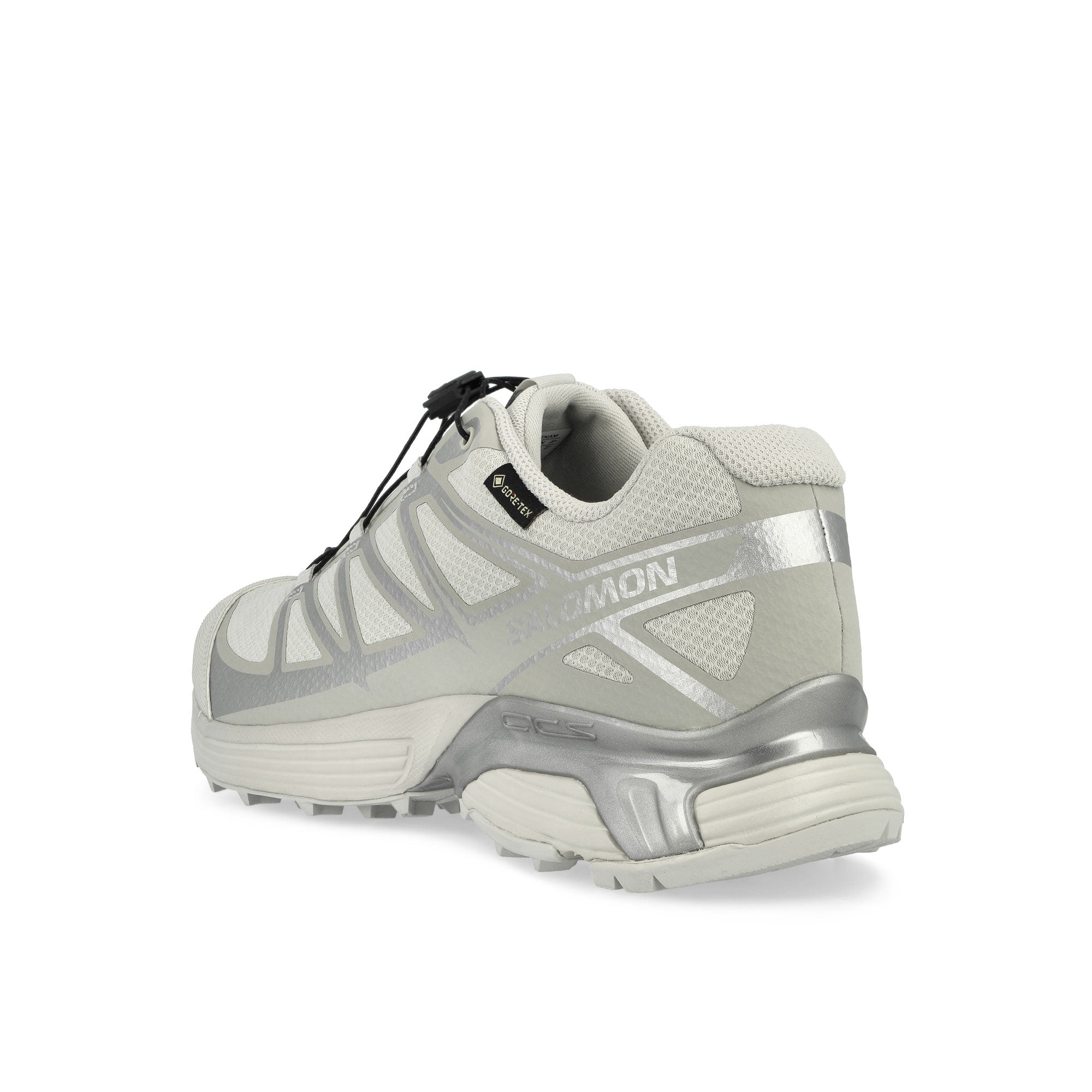 Salomon XT-Pathway GTX Lunar Rock / Alloy / Footwear Silver Low Top Sneakers  Material | Overkill