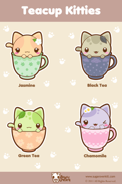 Teacup Kitties